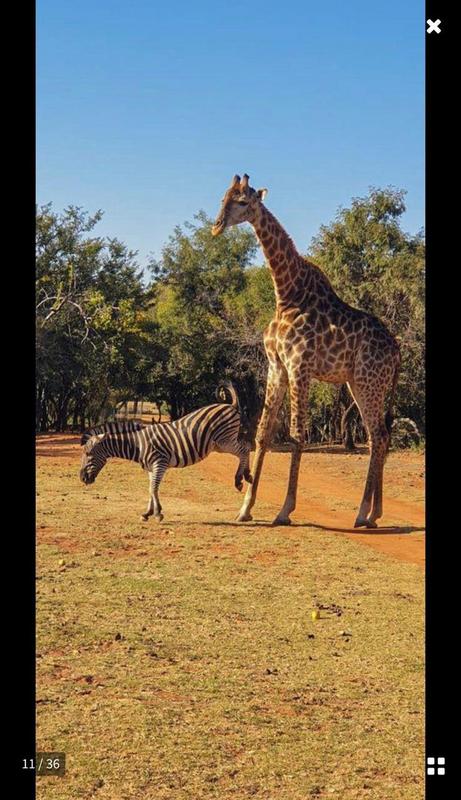 0 Bedroom Property for Sale in Broederstroom North West